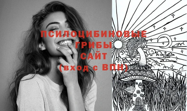 прущая мука Кинешма