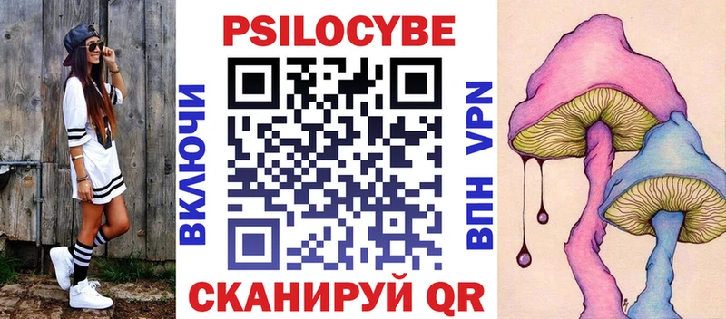 Купить  Макаров  Псилоцибиновые грибы мицелий 